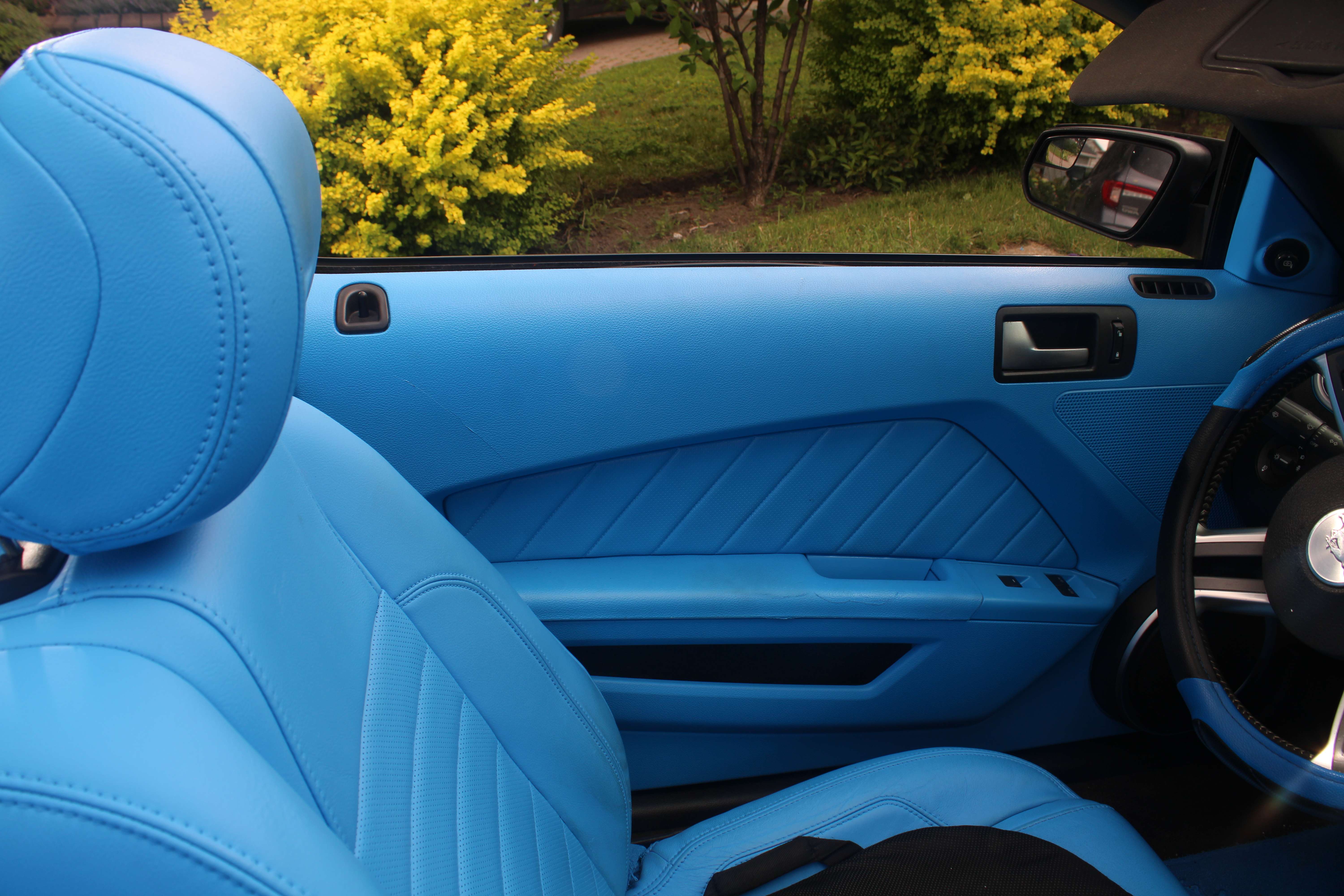 Panneau de porte cuir bleu